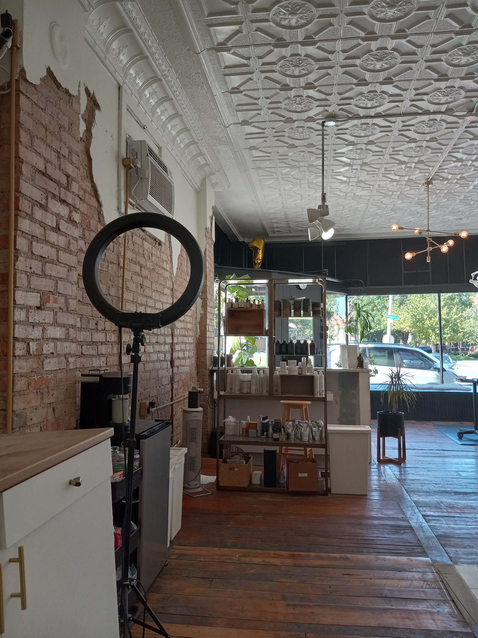 The Organic Salon Kansas City — photo 3
