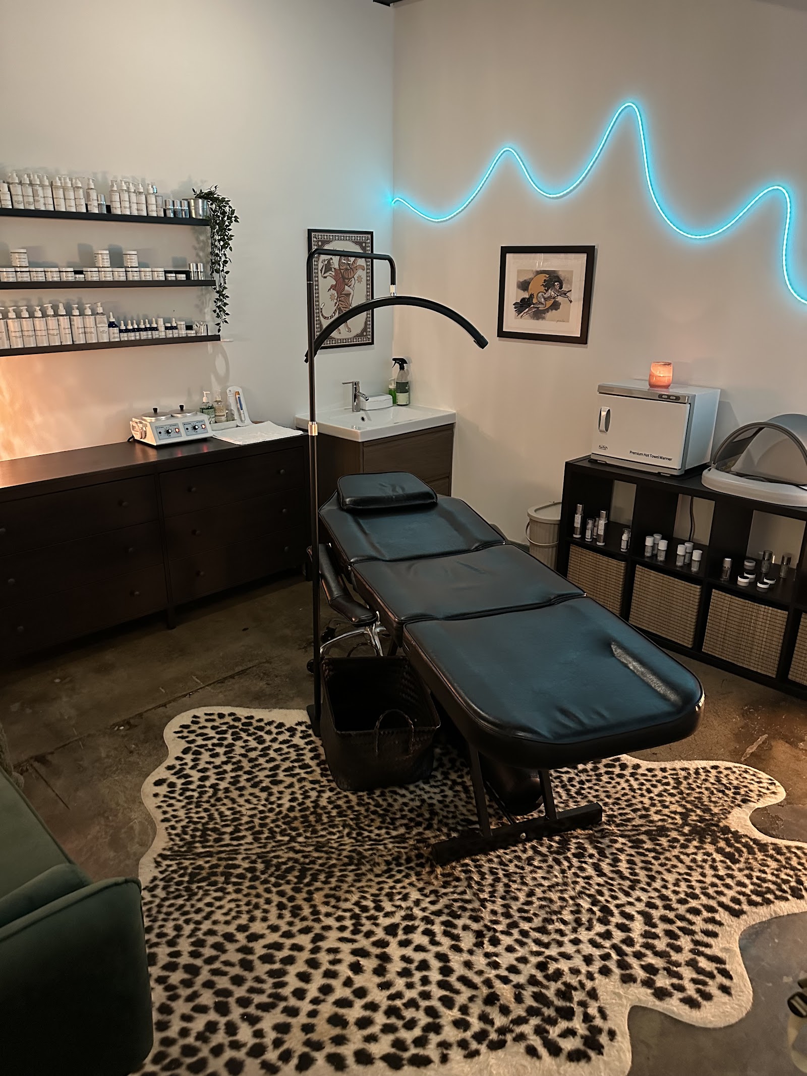 Bad Cat Beauty - Facial and Brow Studio — photo 2
