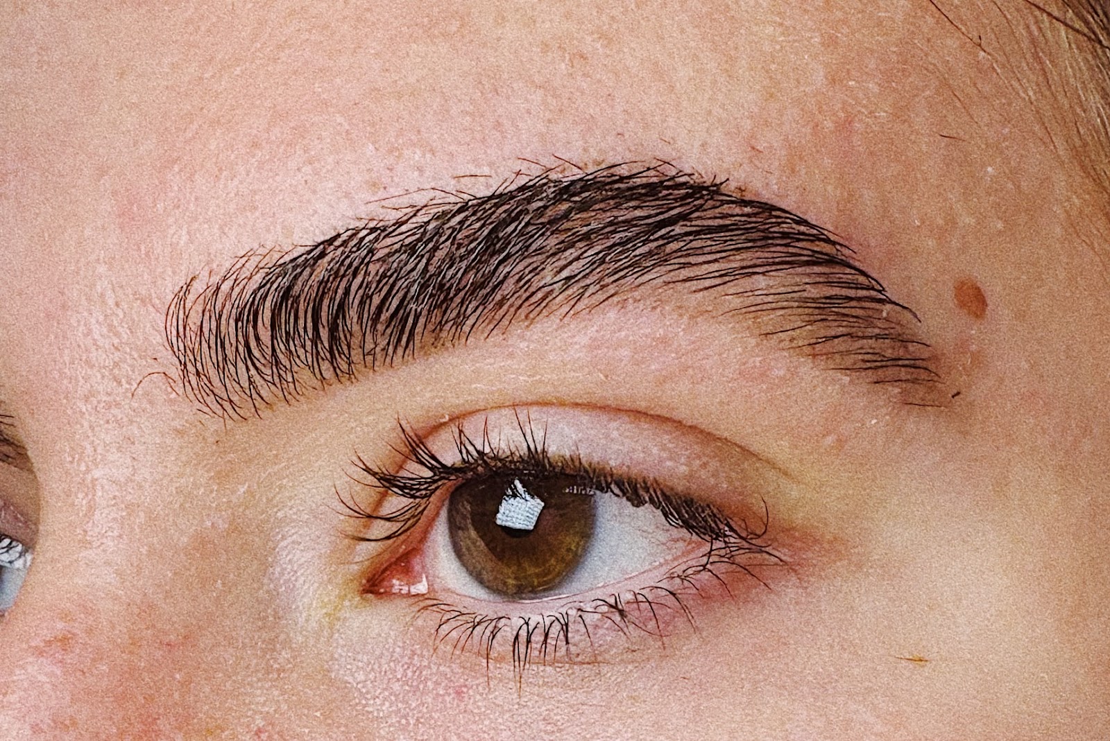 Dollface Brows and Beauty — photo 2