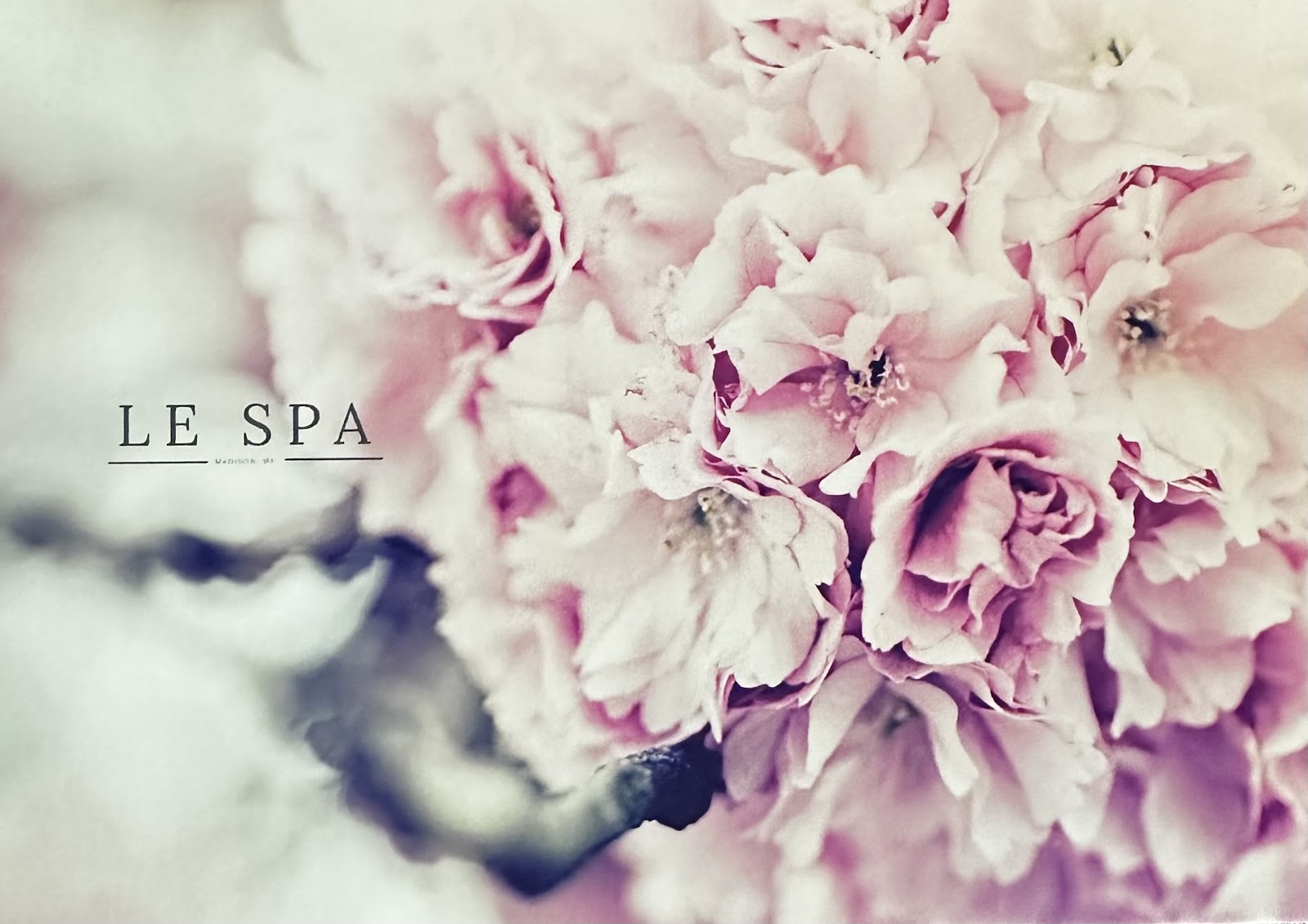 LE SPA — photo 2