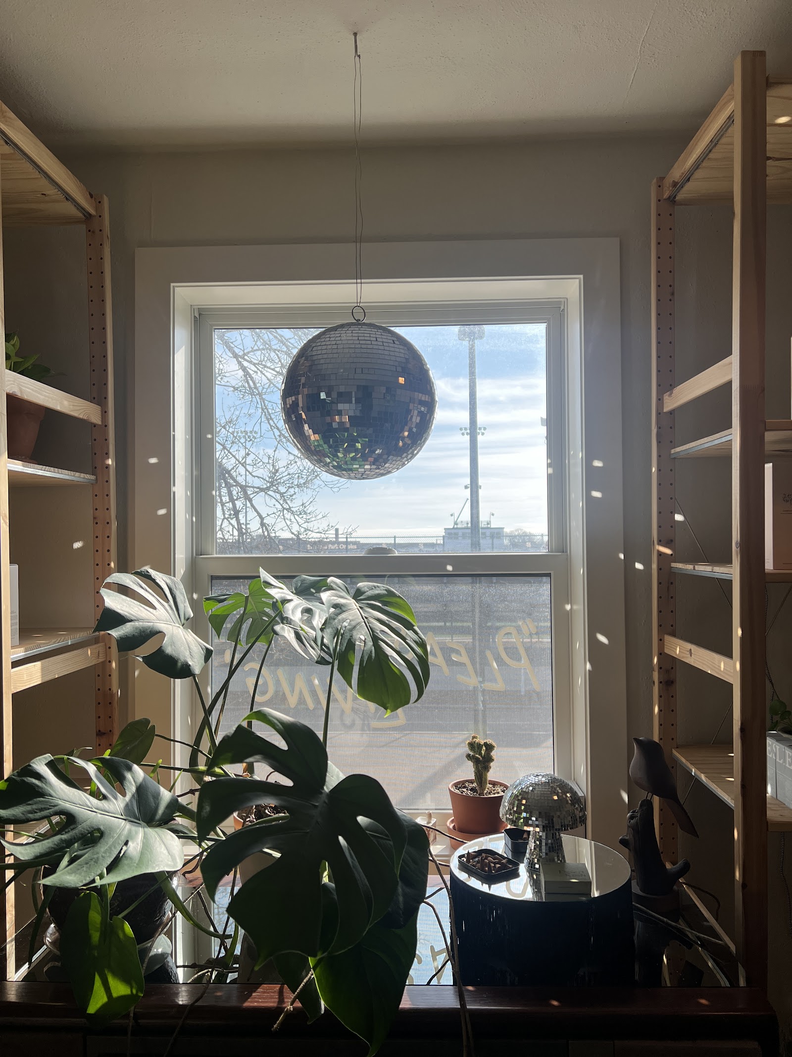 Twin Cities Wax Studio — photo 3