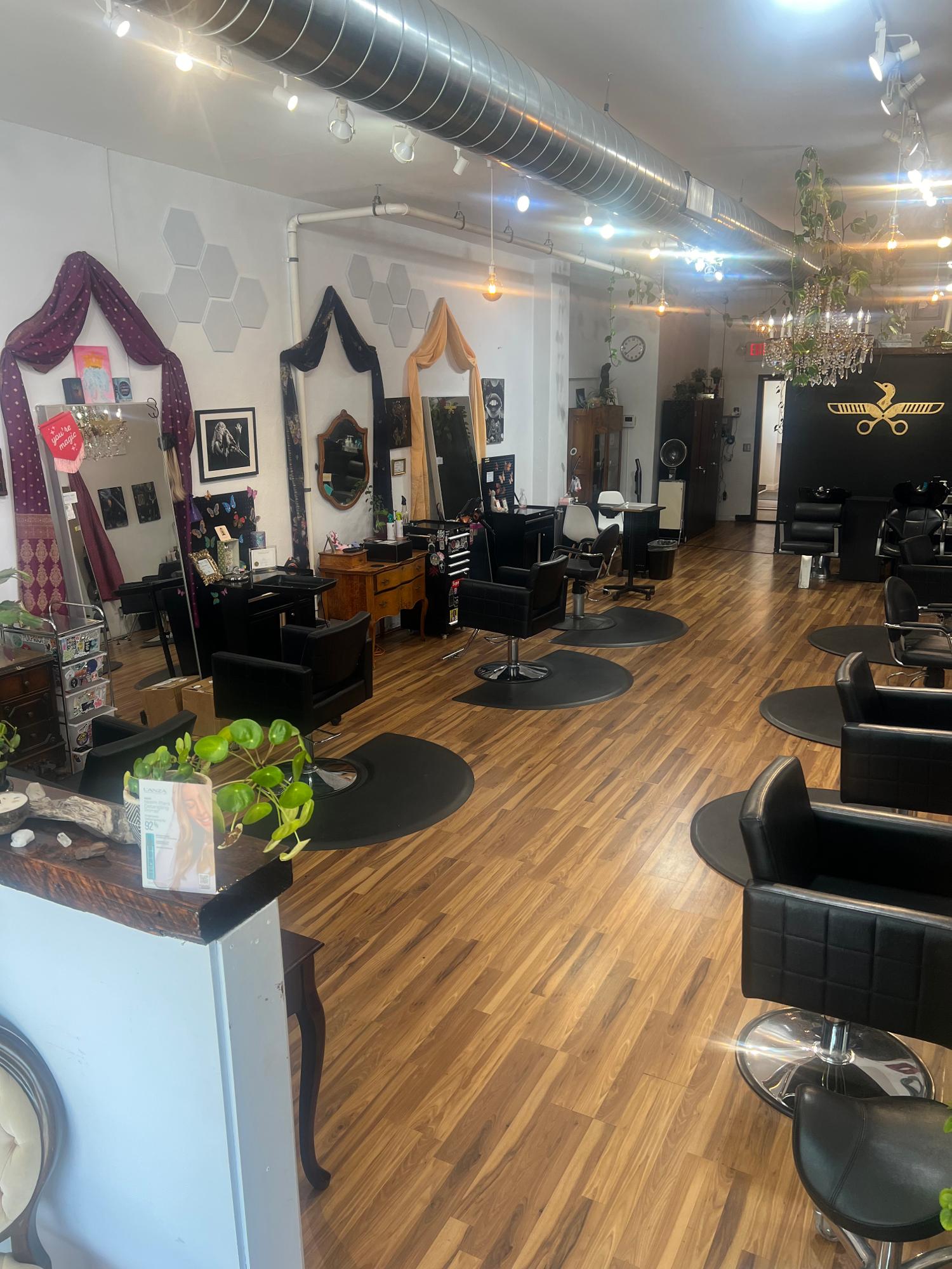 MN NAF! Salon — photo 2
