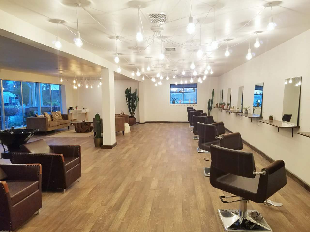 White Cactus Salon — photo 3