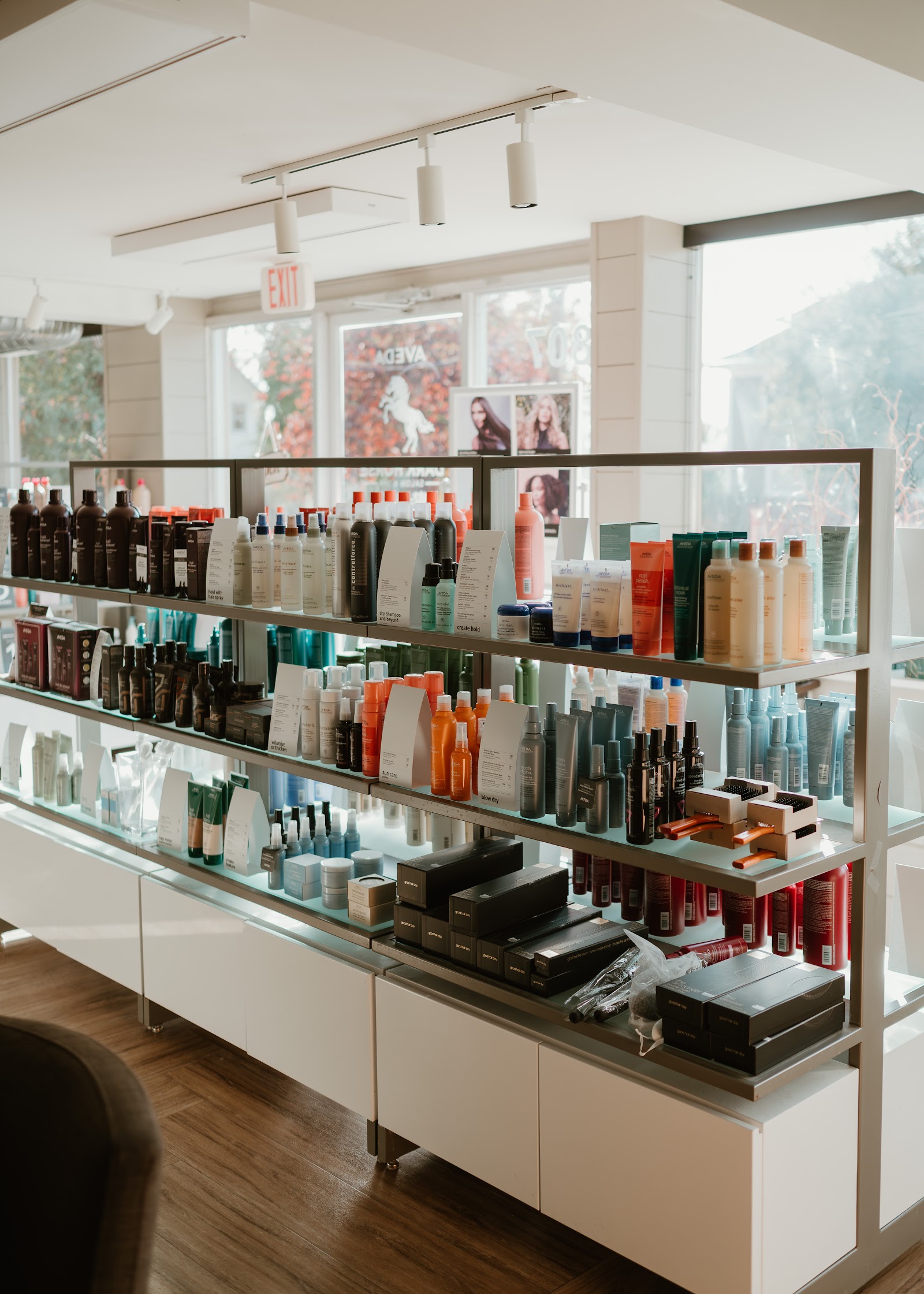 Dark Horse Salon & Spa — photo 2