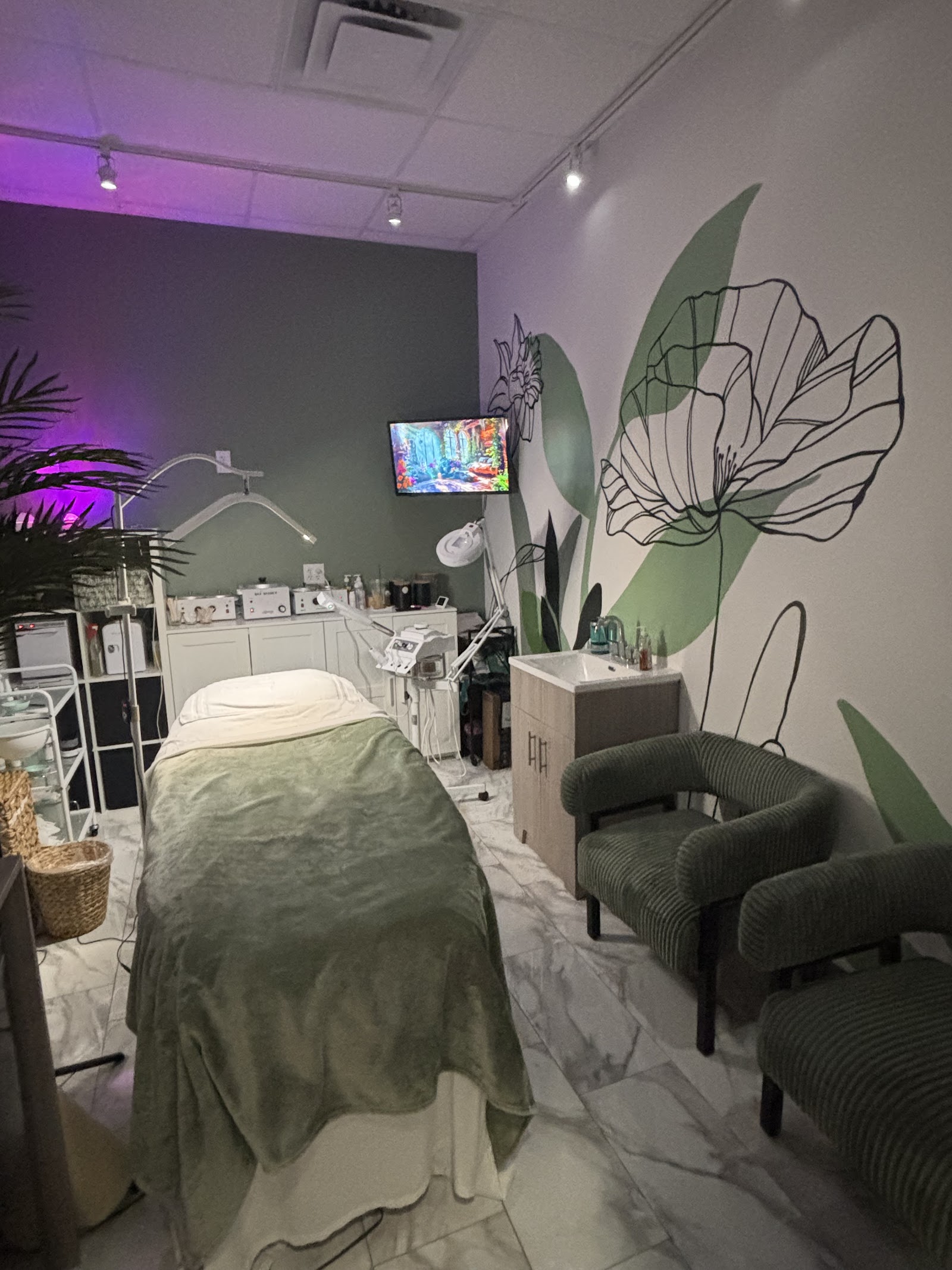 Sage Skin Esthetics - Orlando Brow Waxer — photo 2
