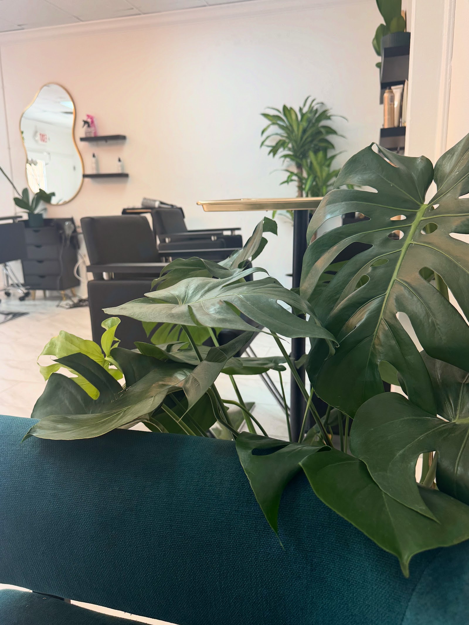Modern Hair Lounge & Spa Orlando — photo 3