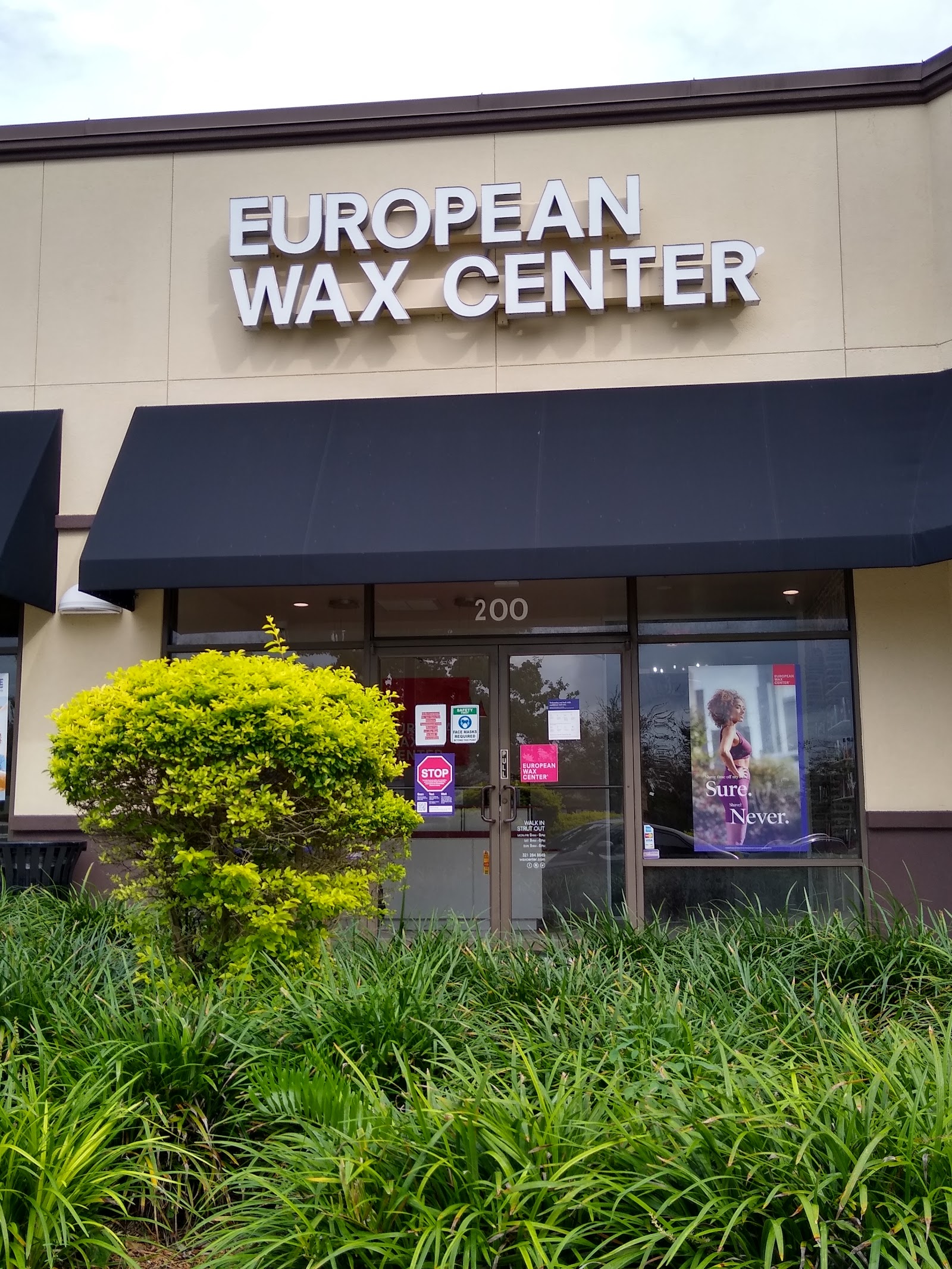 European Wax Center — photo 3