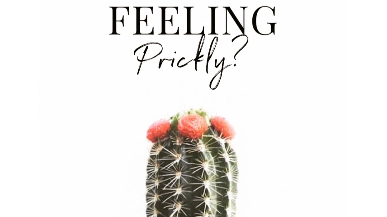 Prickly Peach Wax Bar — photo 2