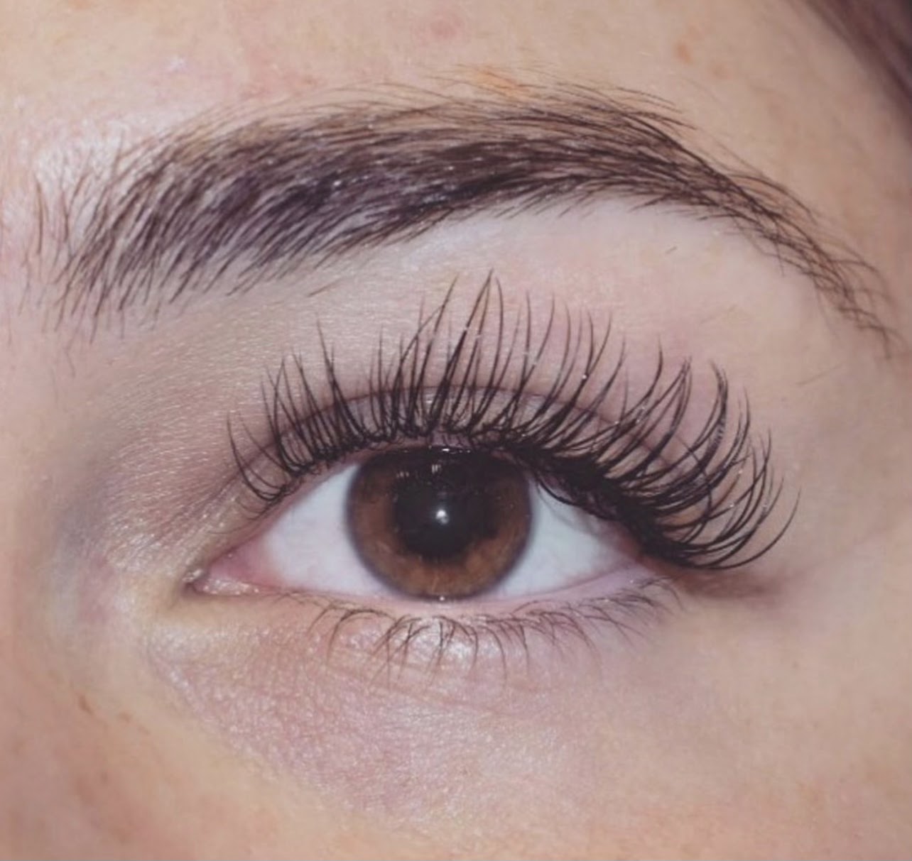 SBK Beauty & Lashes — photo 3