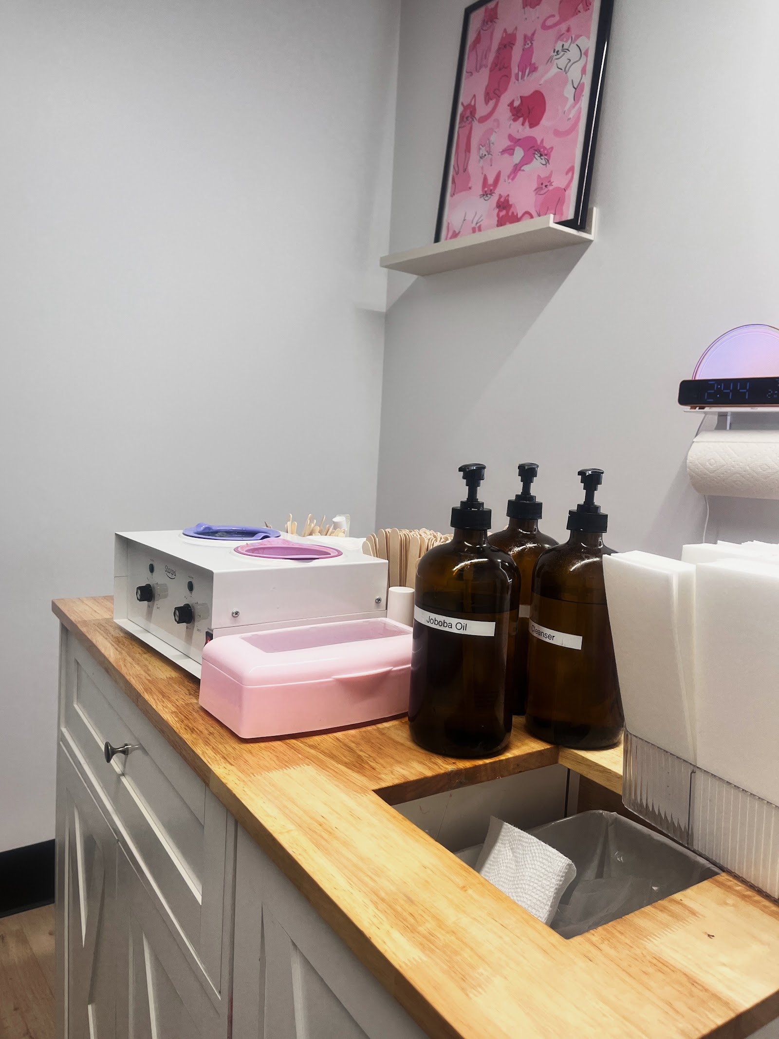 Raini Day Waxing — photo 2