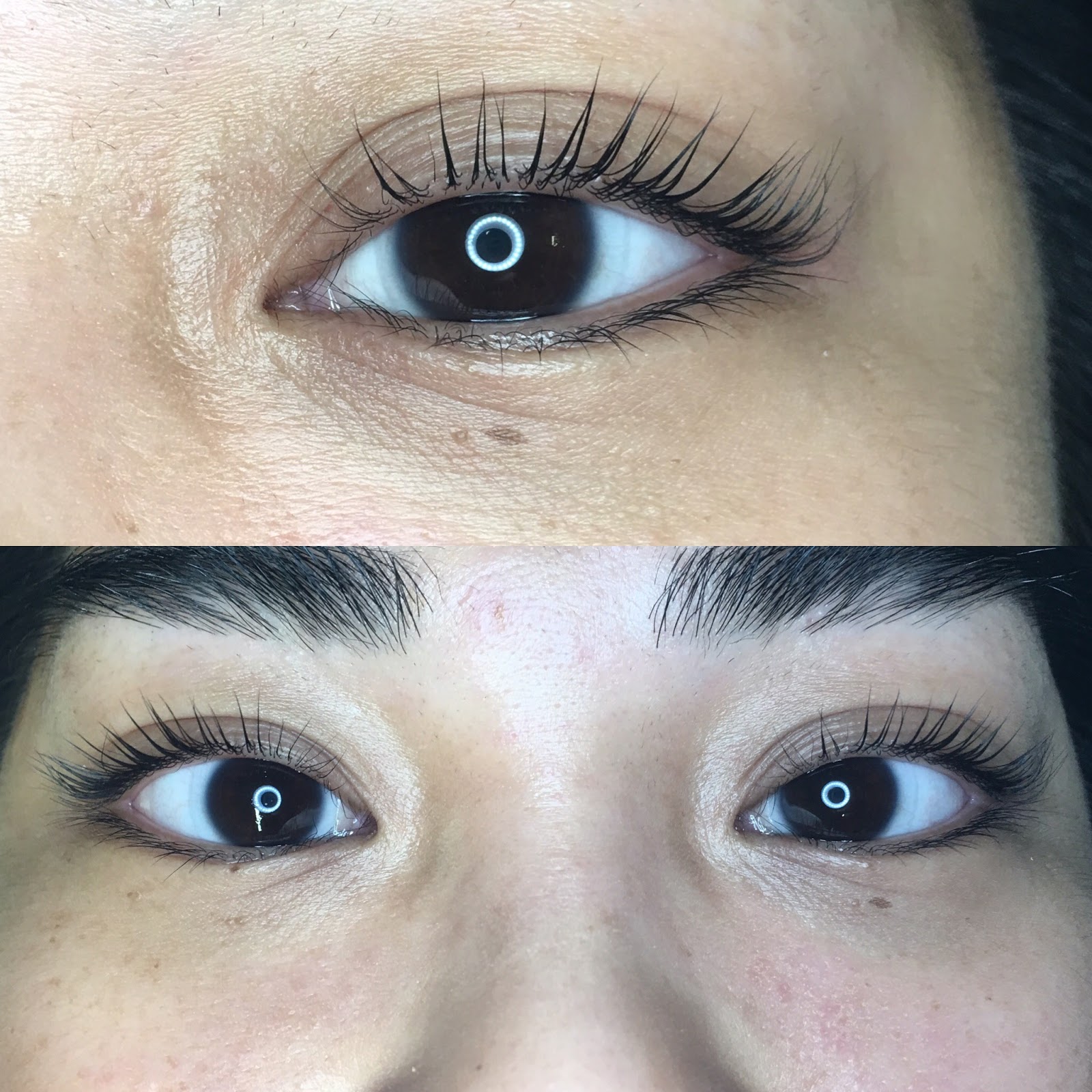 Wax Haven — waxing salon in San Diego