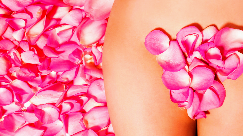 Waxing and Skincare by Celeste - Brazilian Wax Specialist — waxing salon in San Diego