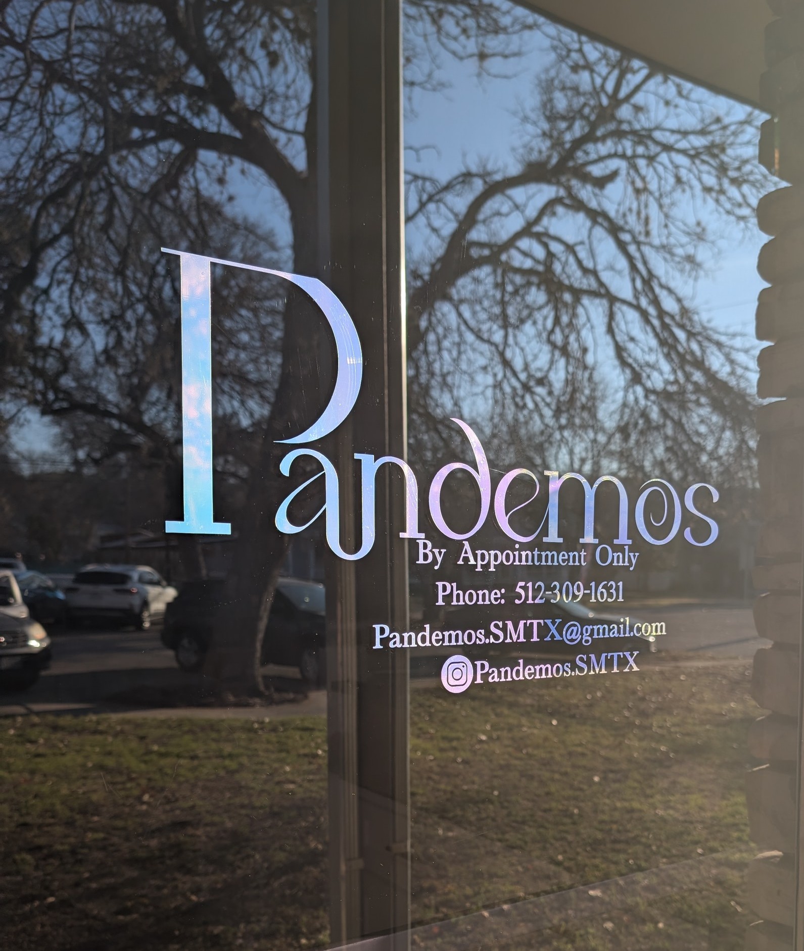 Pandemos — photo 2