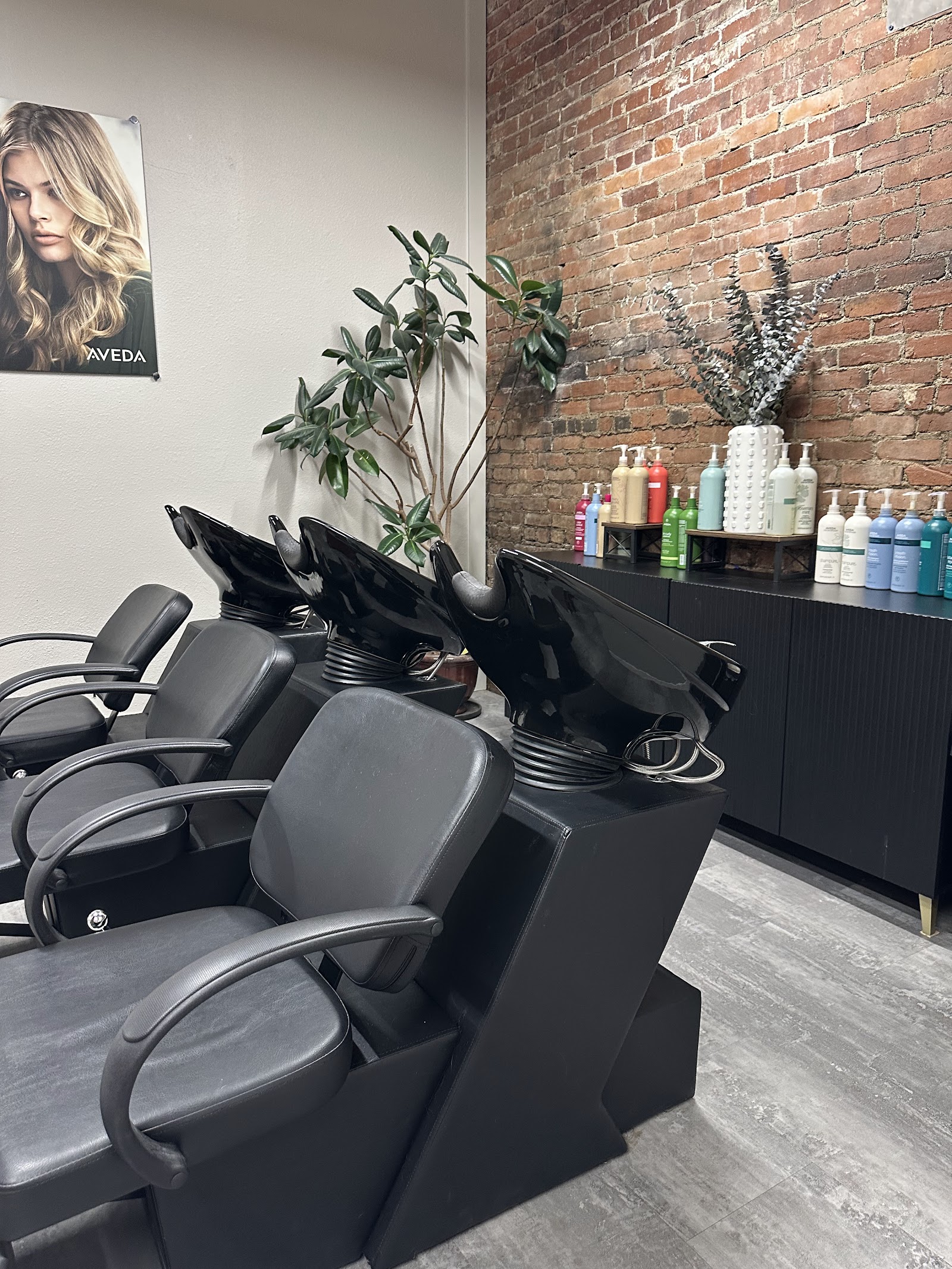 Studio One Hair & Body — photo 3