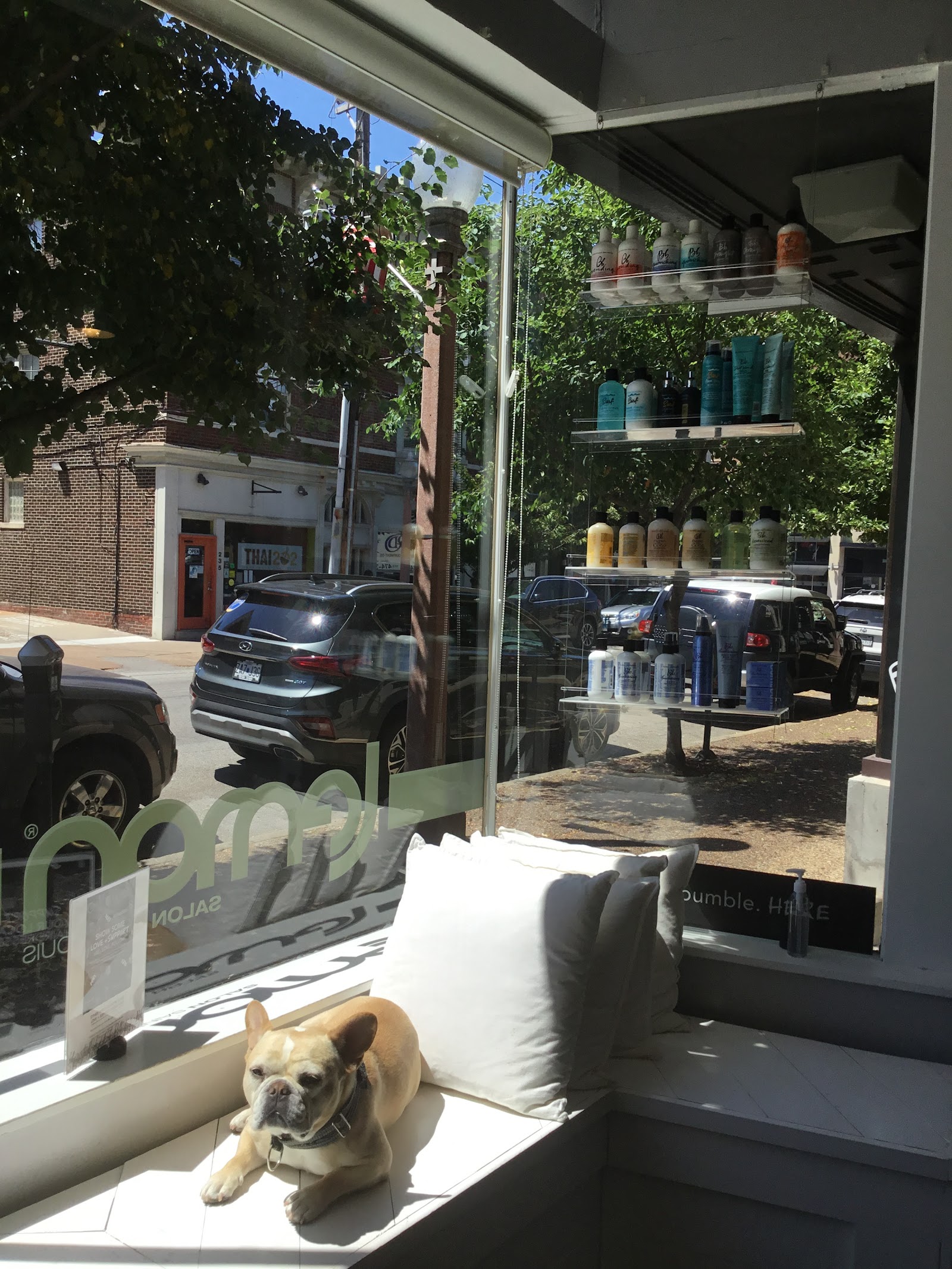 Lemon Salon — photo 3