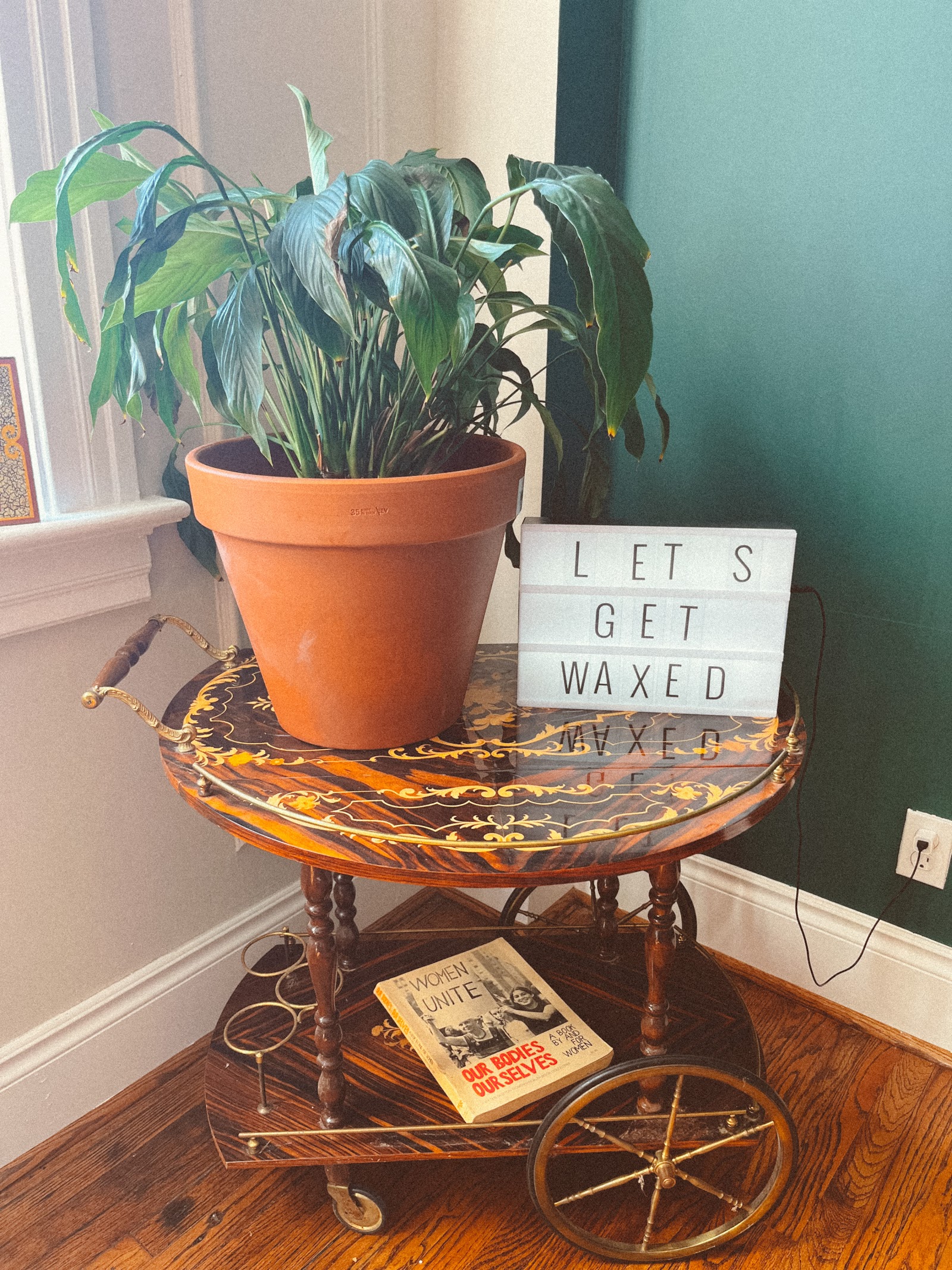 Waxed St. Louis - Best Brazilian Wax — photo 3