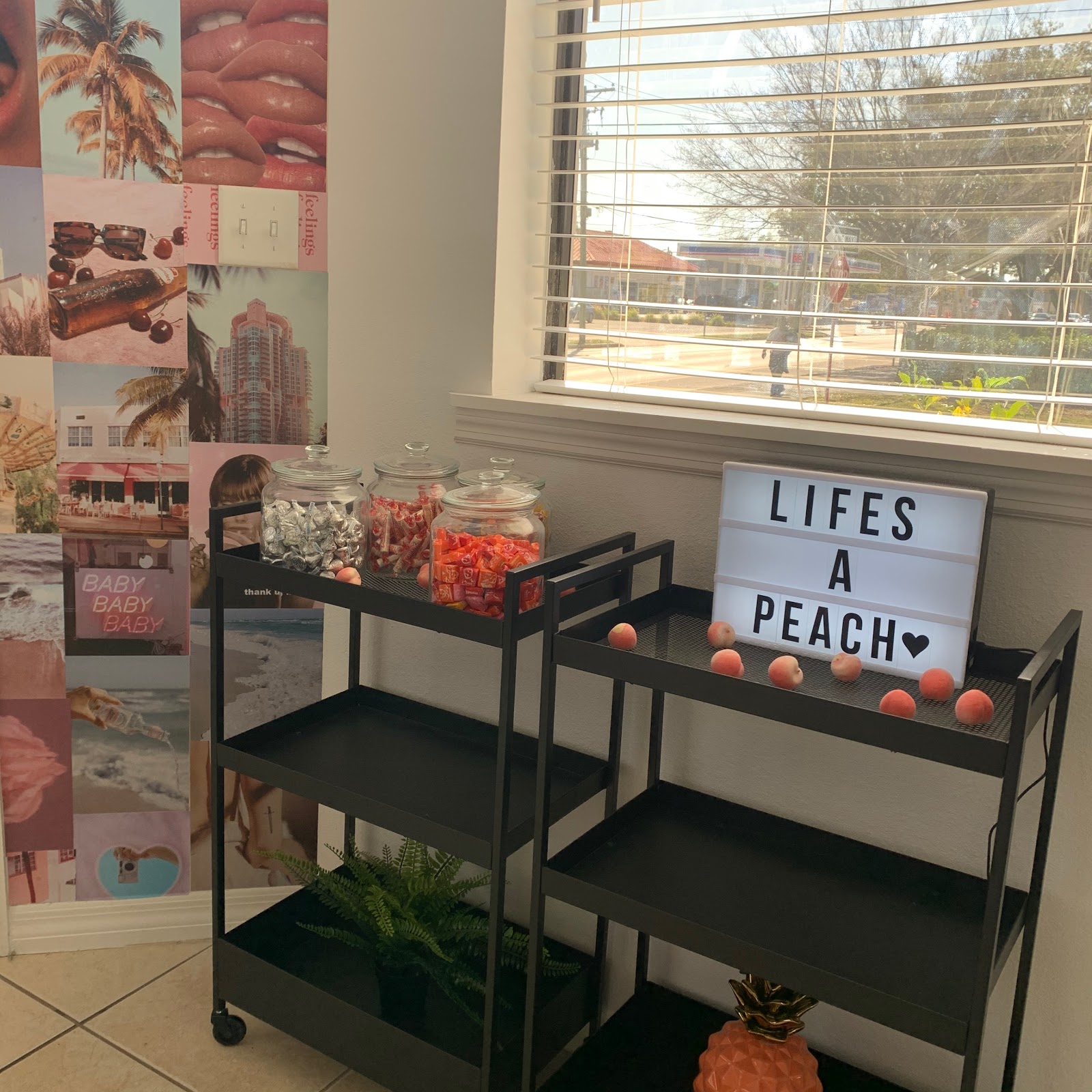 PBWC Tampa — photo 2