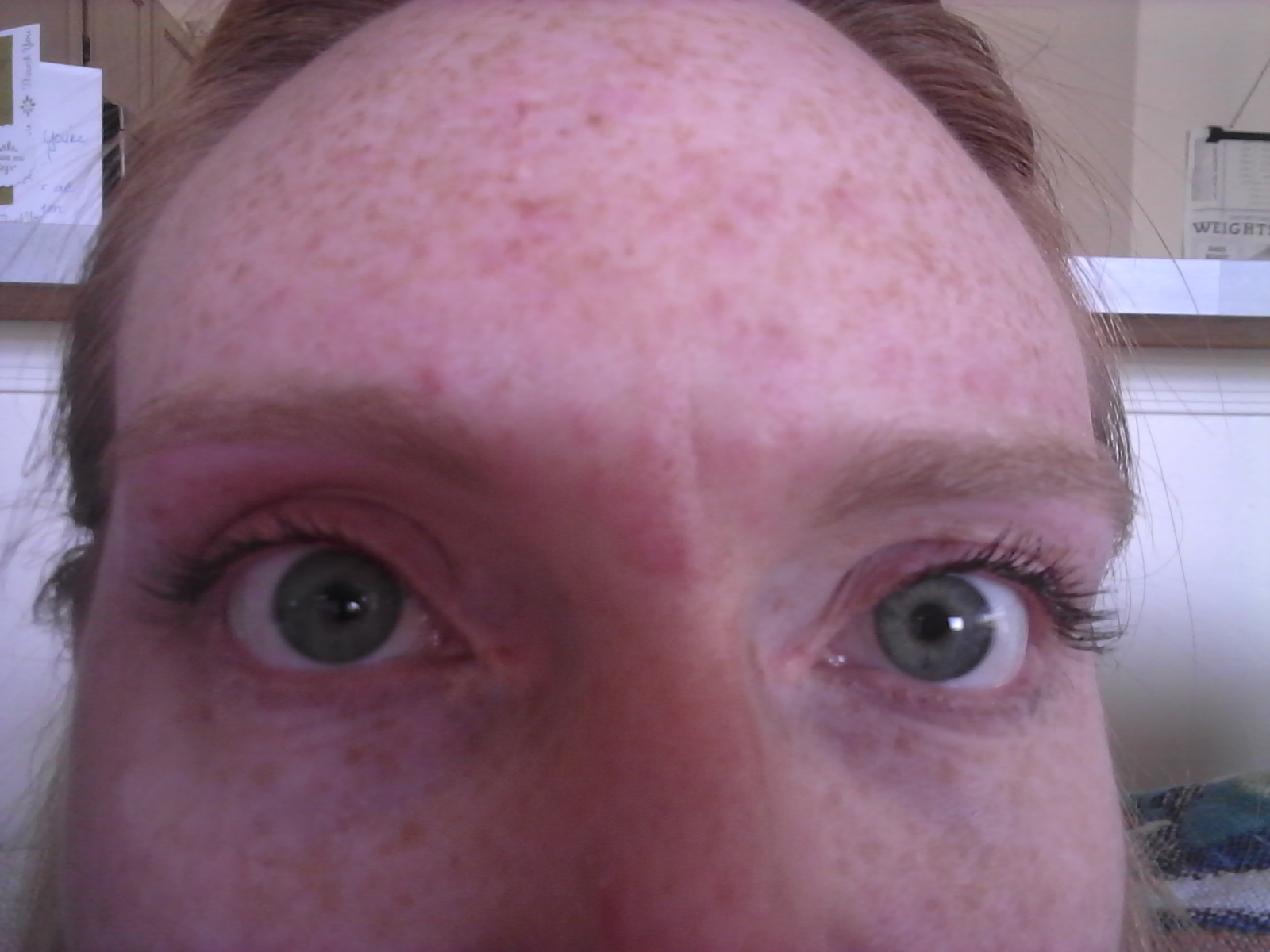 Peek a Boo Body Waxing — photo 2