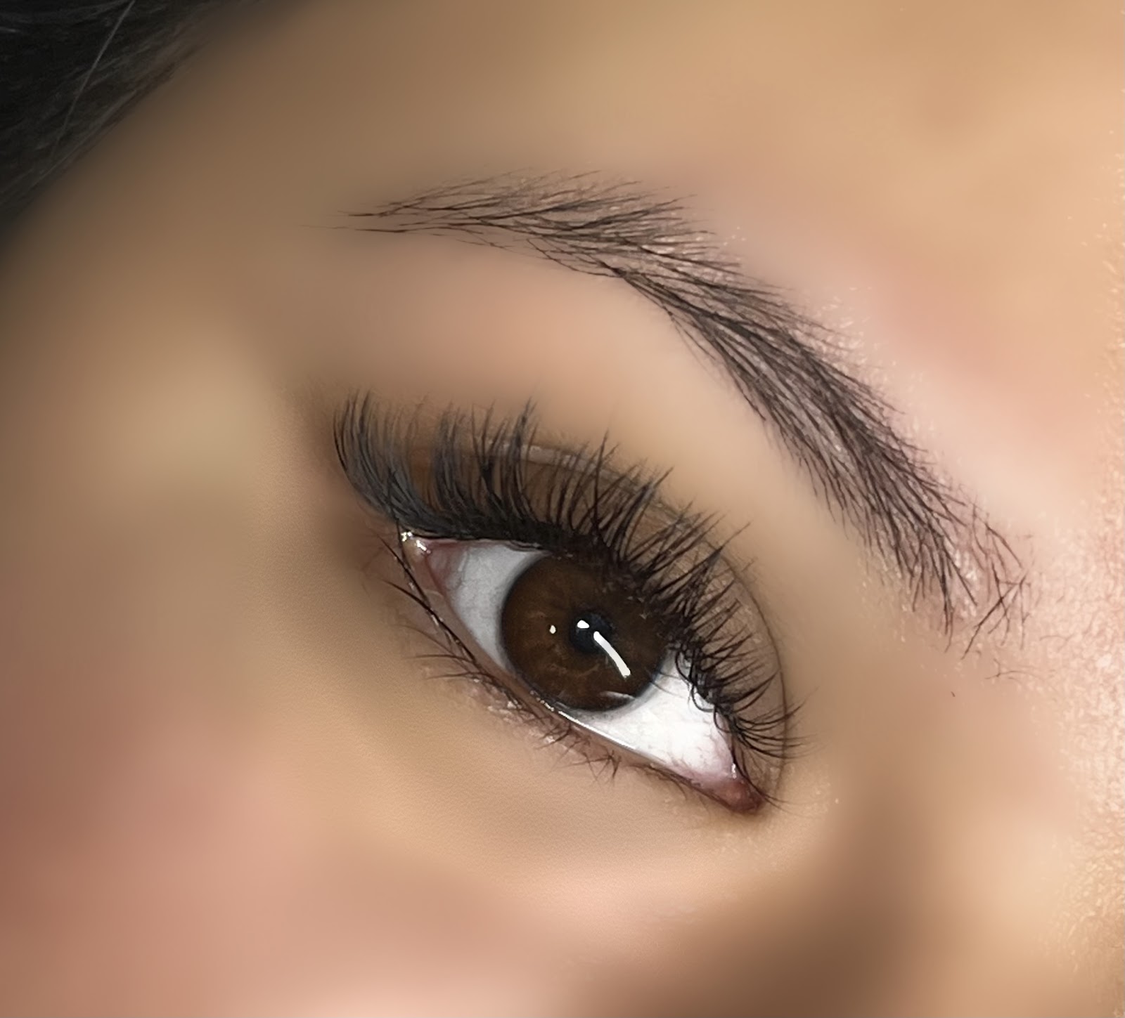 Exclusive Lash & Beauty — photo 2