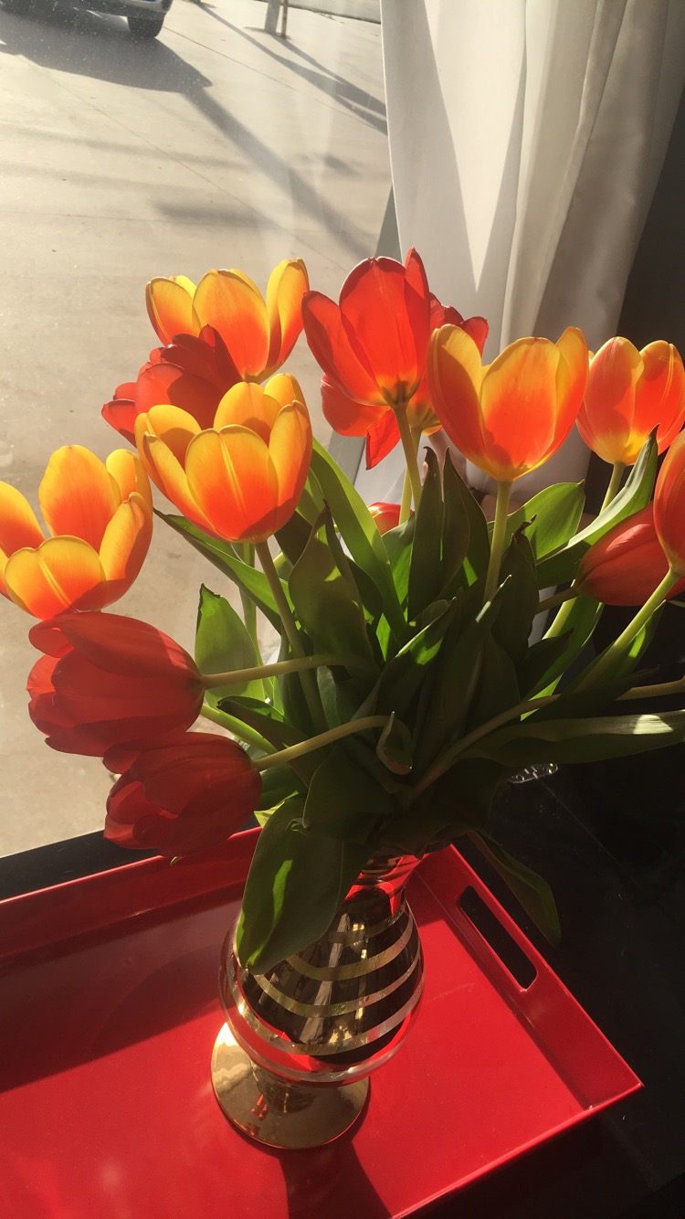 Waxed By Honey Aesthetics — photo 2