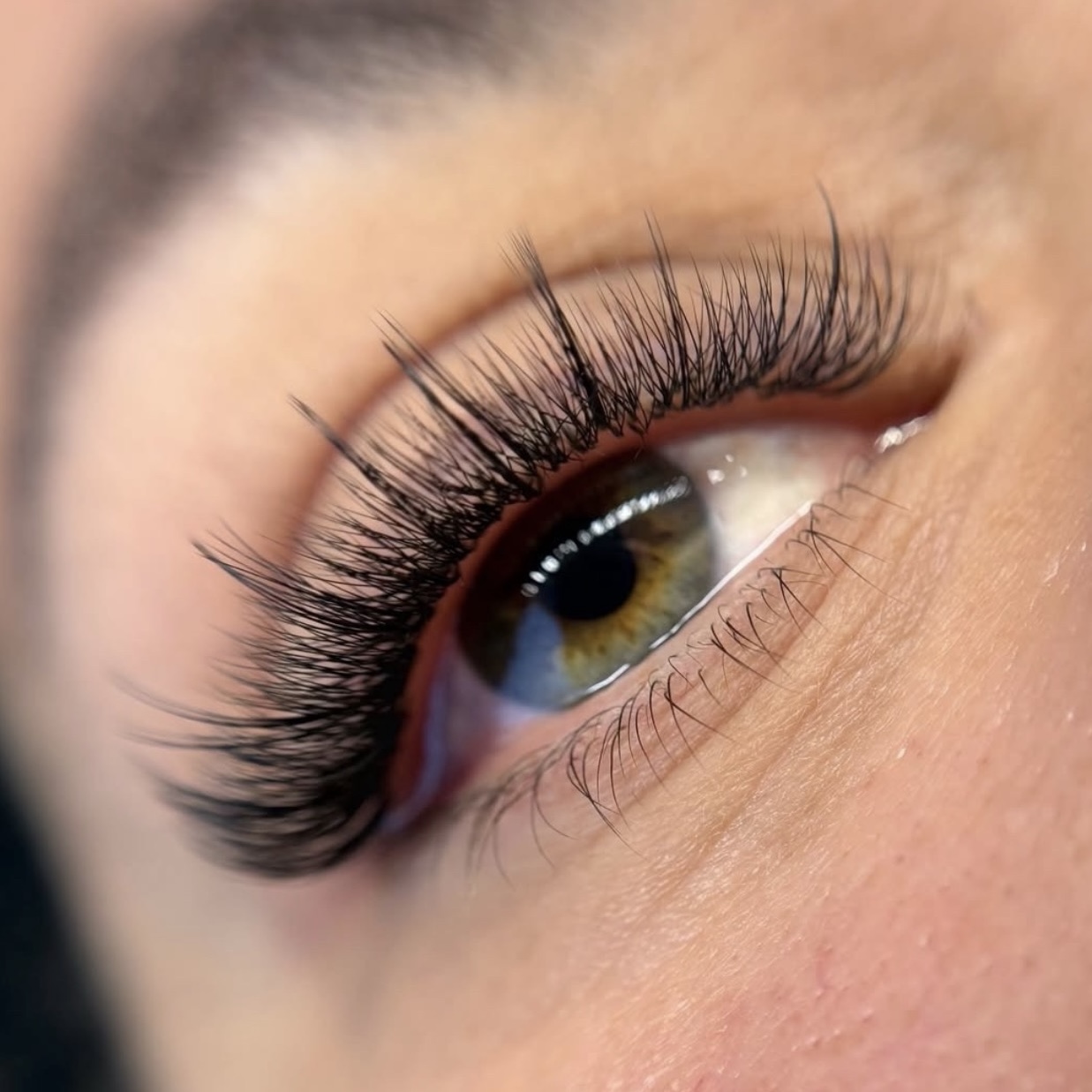Dupont Lash & Brow Bar — photo 2