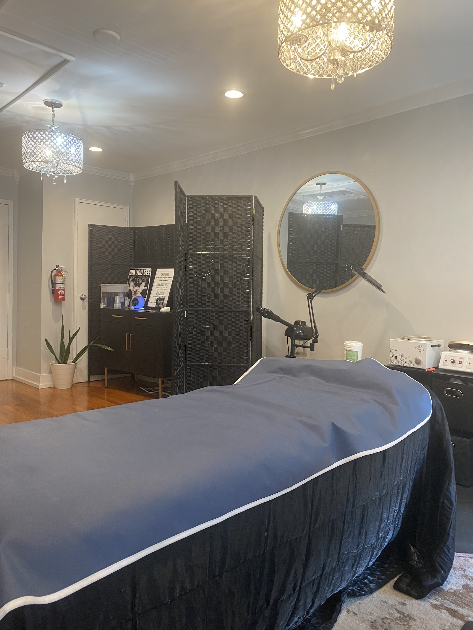The Mink Sphynx @ Aura Spa and Vida Fitness — photo 2