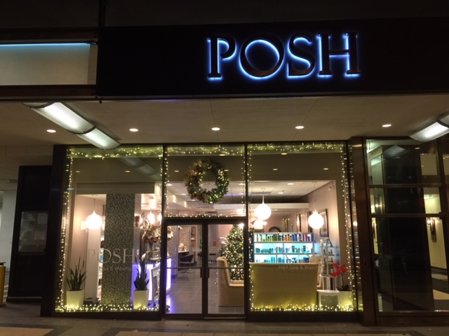Posh Hair Spa & Waxing — photo 3