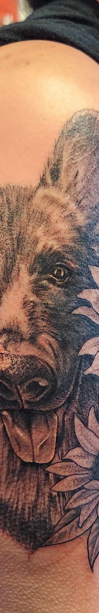 Redlight Tattoo tattoo parlor in Albuquerque, NM