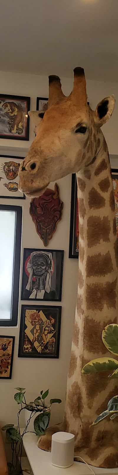 Singleton Tattoo in Dallas, TX