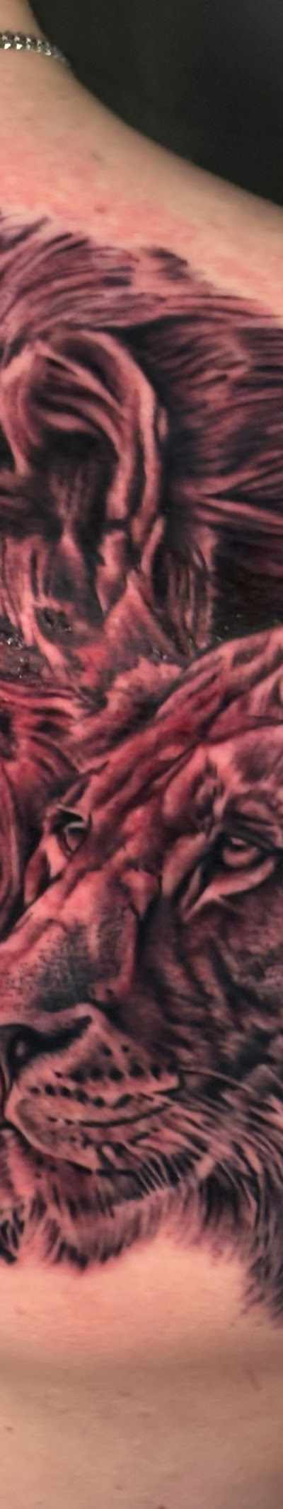 Revival Tattoo Studio in Urbandale, IA