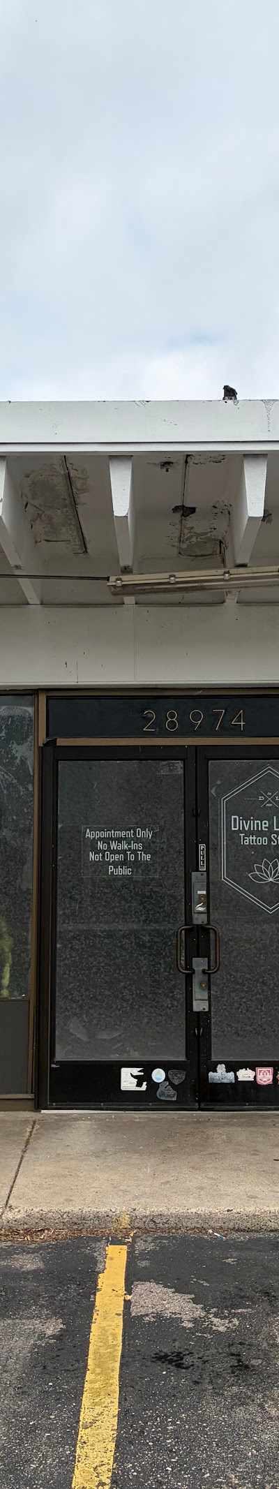 Divine Lotus Tattoos tattoo parlor in Detroit, MI