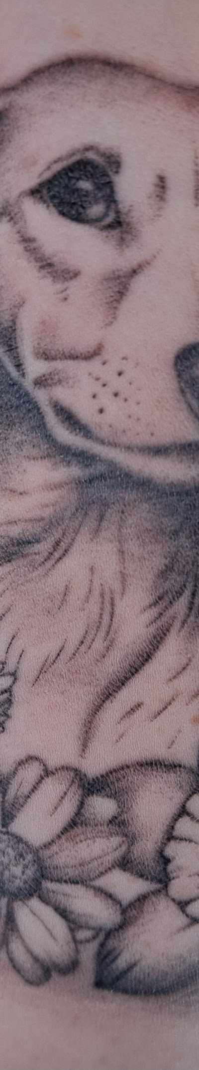 Lucky Horseshoe Tattoo in Fort Worth, TX