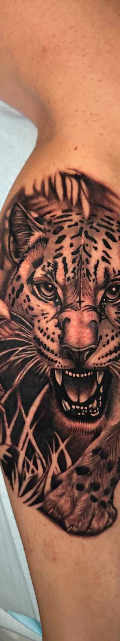 Lotattoos & Fine Art tattoo parlor in Lewisville, TX