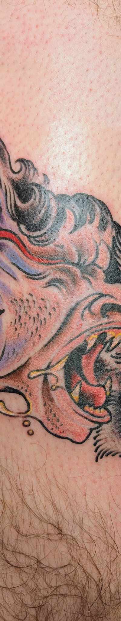 Forward Tattoo tattoo parlor in Madison, WI