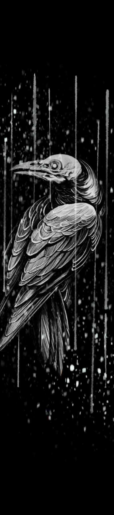 Raining Crow Studios in Madison, WI