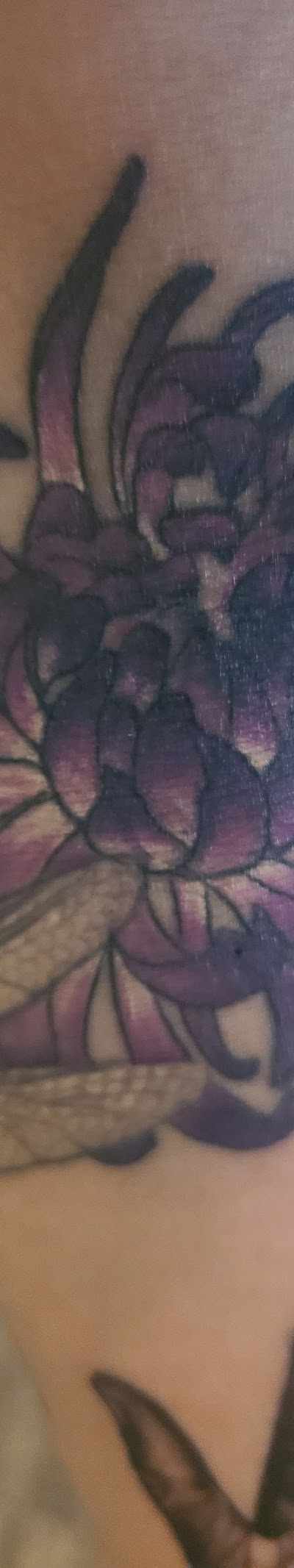 Octopus Ink in McAllen, TX