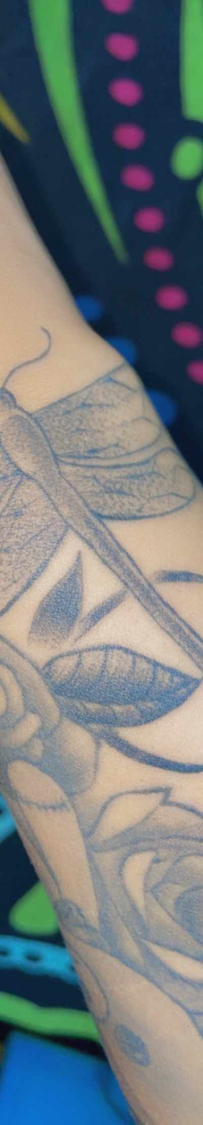 Wild Wolf Tattoo Studio in Edinburg, TX