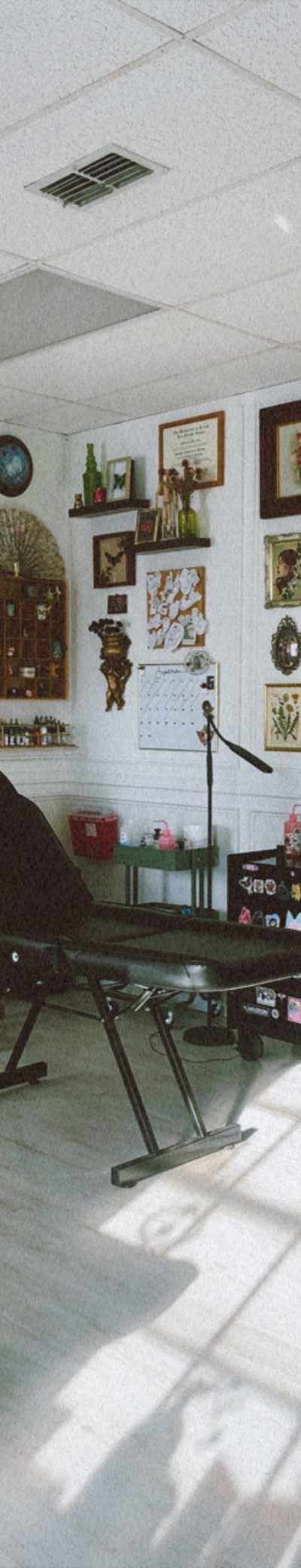 Wild Willow Tattoo Studio in McAllen, TX
