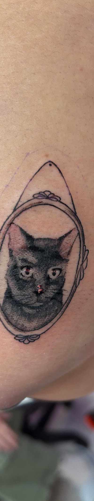 Pink Parlor Tattoo Studio in McAllen, TX