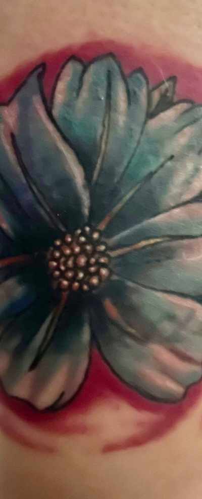 Blue Robyn tattoo and body piercing studio in Edinburg, TX