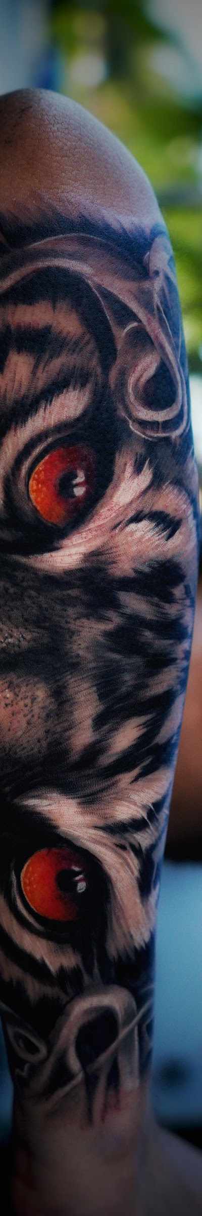 My Ink Tattoos tattoo parlor in Miami, FL