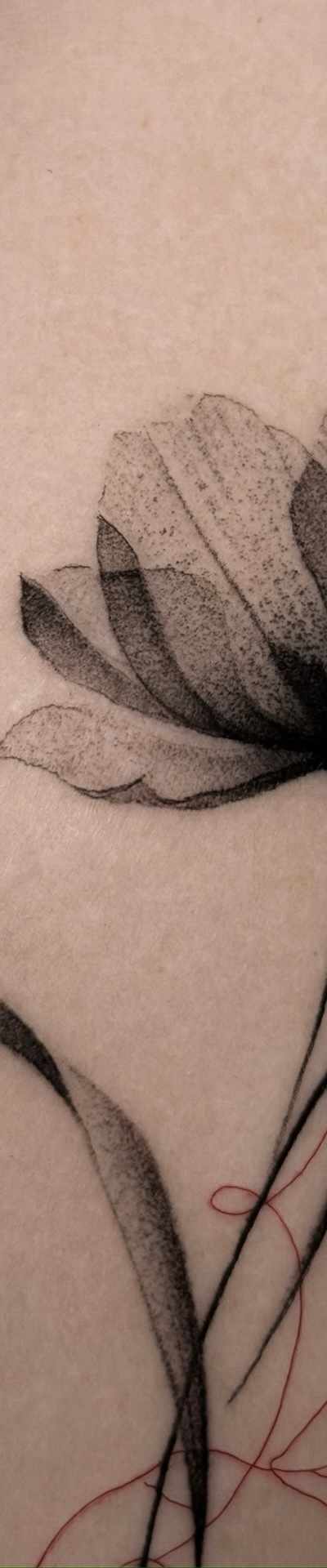 IGLA Tattoo Studio NYC tattoo parlor in New York, NY