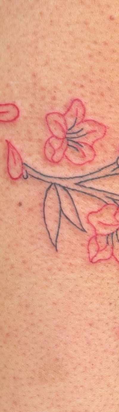 Plush Tattoo & Intuitive Arts tattoo parlor in Portland, OR