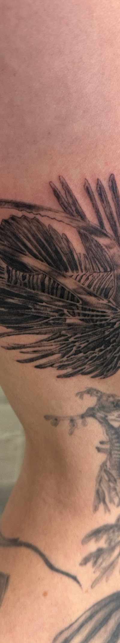 RTP Tattoo Lab in Cary, NC