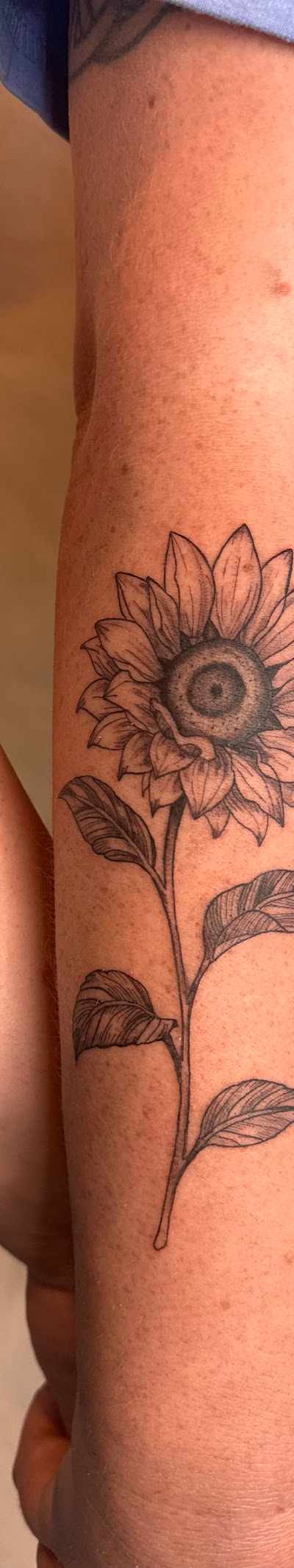 Hales Tattoos in Richmond, VA