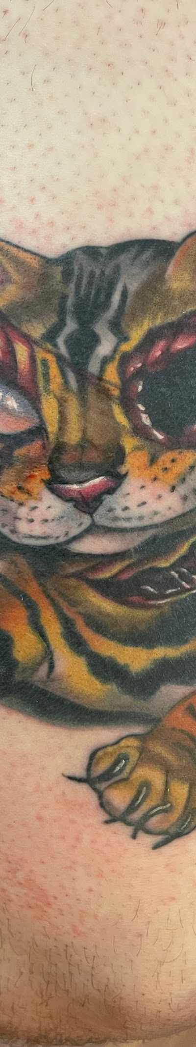 Nick Mitchell Tattoos tattoo parlor in Richmond, VA