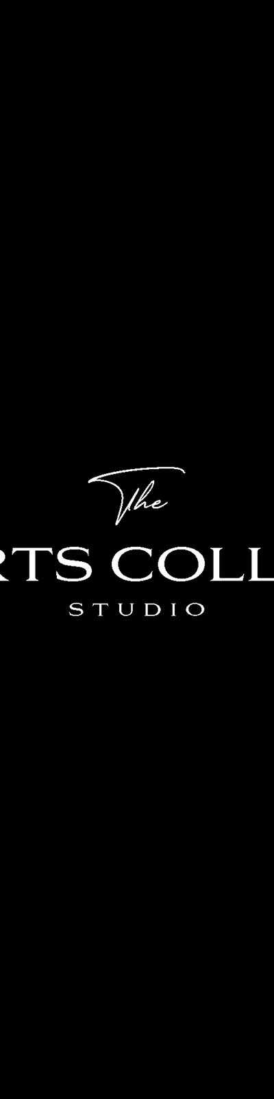 The Fine Arts Collective in Baytown, TX