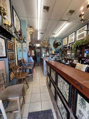 Seven Sparrows Tattoo in Brownsville, TX