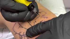 Let Me Ink You in Clearwater, FL