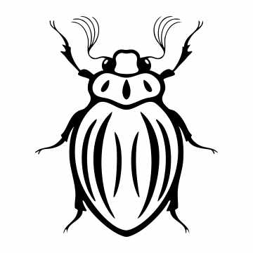 June Bug Tattoo in Glendale, CA